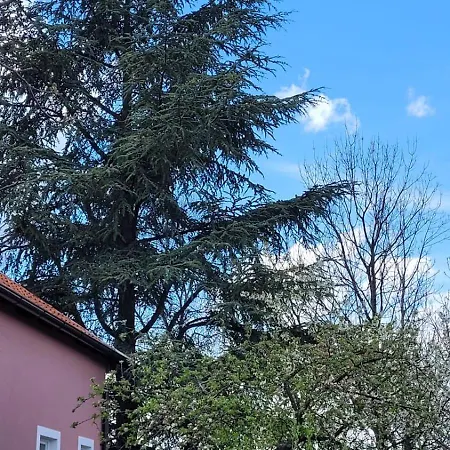 Kedar Sa Grejanjem 3* Kragujevac