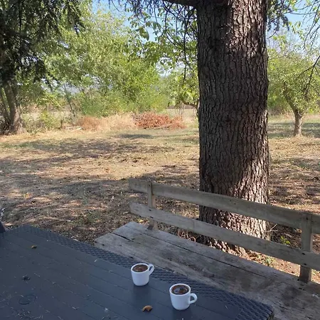 Kedar Sa Grejanjem 3*